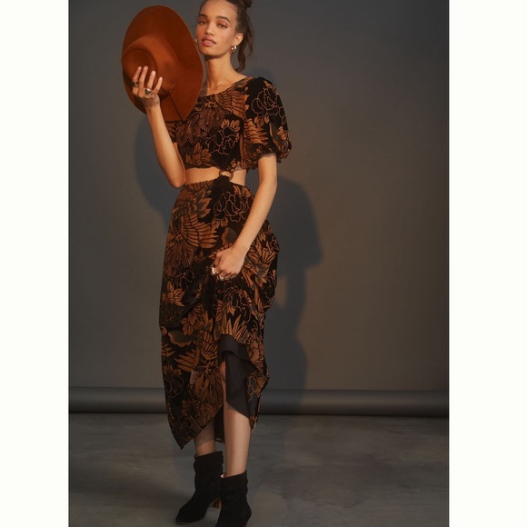 Anthropologie Dresses & Skirts - 2X - Let Me Be Burnout Velvet Maxi Dress - Anthropologie